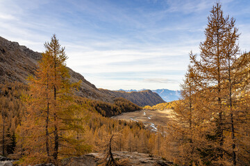Fototapeta na wymiar Il foliage autunnale a Preda Rossa, Val Masino, Sondrio