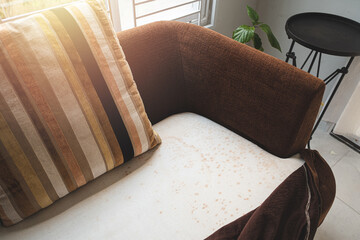 mould on sofa