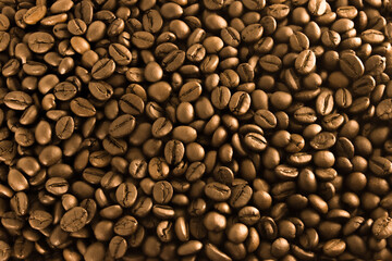 Golden coffee, background texture, close-up. Shiny arabica grains