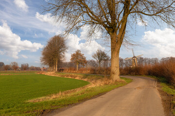 Dutch countryside landscape near the village of Steenderen.