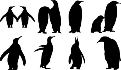 Penguin Silhouettes Penguin SVG EPS PNG