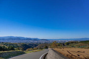 静岡県三島市　箱根西麓野菜の畑
