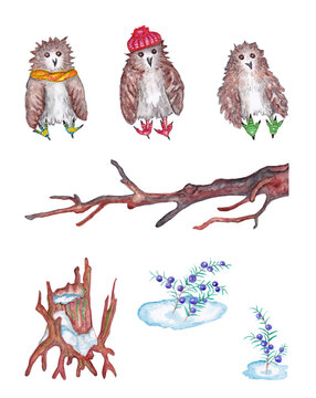 Watercolor sparrow in hat