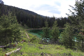 Beautiful blue lakes in Jasper national park. Wonderful road trip through Banff and Jasper national park in British Columbia, Canada. An amazing day in Vancouver. What a beautiful nature in Canada.