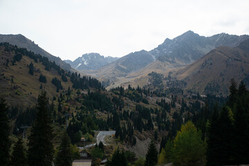 Great view of the mountains in the summer.