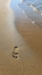 Footprint on tropical beach and beautiful wave