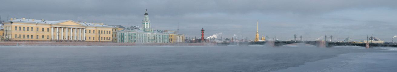 Fototapeta na wymiar Panorama of the Neva river in the historic center of St. Petersburg on a cloudy February day. Russia