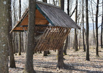 Wooden feeder or manger for wild animals in the forest. Feeding trough with hay for wild boars, deer and birds. Taking care of the wild nature
