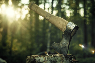 A woodcutter's big axe is stuck into a log in the forest, the setting sun in the...