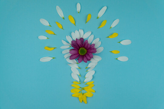 composition in the form of a light bulb of yellow and white flower petals and a purple flower. picture of a good idea