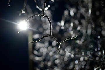 Branch covered with ice on the background of a lantern