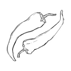 hand drawing sketch
