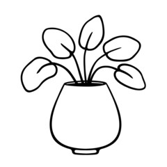 Potted plant. Doodle. Outline of a houseplant. Isolated element on white background.
