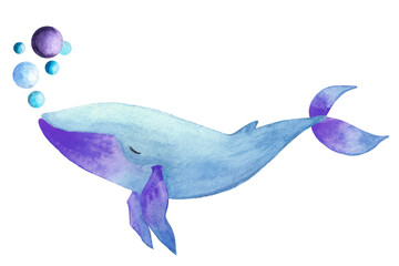 Design element for wrappng paper, fabric, cards. Watercolor hand painted blue violet whale isolated on white.