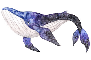 Watercolor hand drawn illustration with dark purple whale isolated on white background.Hand drawing with a marine mammals. Kids products, print, fabrics, wallpapers.