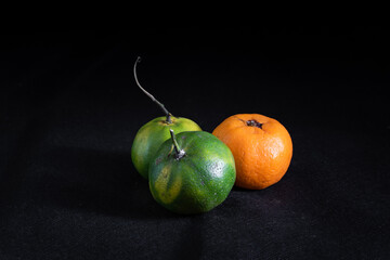 Green and Orange Citrus