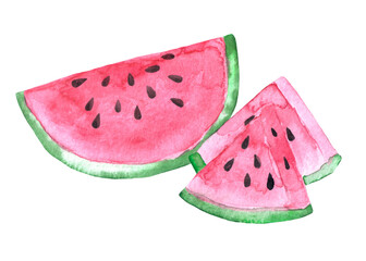 Hand drawn watercolor sliced bright pink pulpy watermelon with brown seeds isolated on white background. Aquarelle hand painted illustration