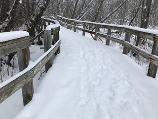 Sentier de neige