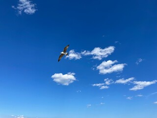 Sky