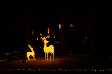 reindeer christmas lights