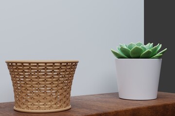 Plant flower in pot and basket on shelf