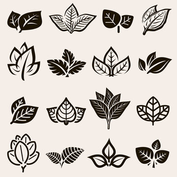 Tobacco leaf icons set. Collection icon tobacco. Vector