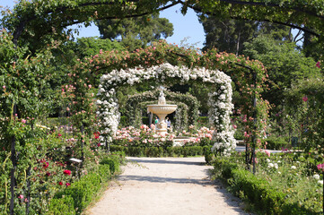 Rosaleda del retiro con rosas de colores y fuente de agua
