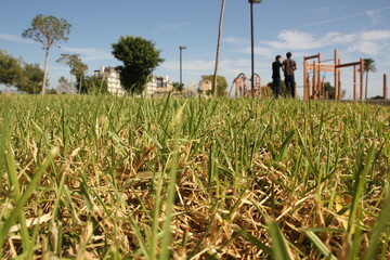 vista desde un plano rasante de un cesped de un parque en san juan pueblo, enfrente del instituo...