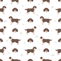 Lagotto Romagnolo clipart. Different poses, coat colors set