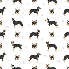 Lapponian Herder seamless pattern. Different poses, coat colors set