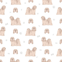 Lhasa Apso seamless pattern. Different poses, coat colors set