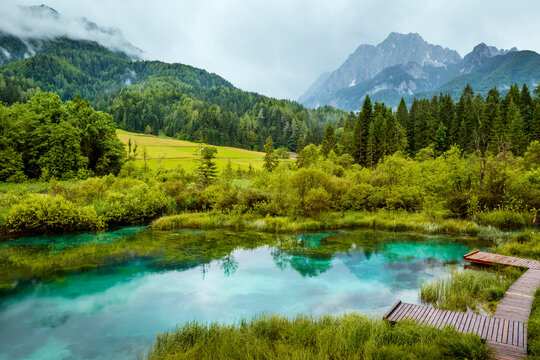 Zelenci pond in Triglav National Park, Slovenia