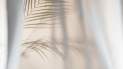 Fototapety  Palm leaves shadow on beige background, freeze motion