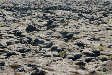 Eldhraun oder Skaftáreldahraun Lavafeld aus der Kraterreihe bei Laki geflossen. Die Lava ist fast ausschließlich vom Typ Brockenlava und von einem dicken Moosteppich bedeckt