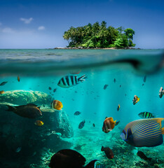 Wunderschöne Unterwasser-Landschaft mit einsamer Insel Tauchen