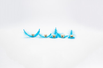 The word DREAM written on wooden cubes which lay on the blue feathers against white background