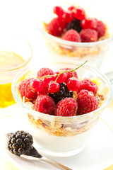Yogurt, Muesli, Berries and Honey