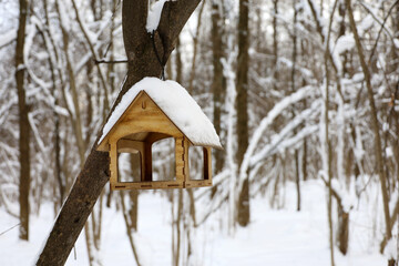 Wooden bird feeder in winter forest. Help the animals in cold season