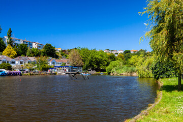 Newquay Boating Lake Cornwall UK