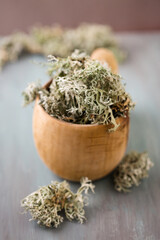 Icelandic moss in a wooden mug