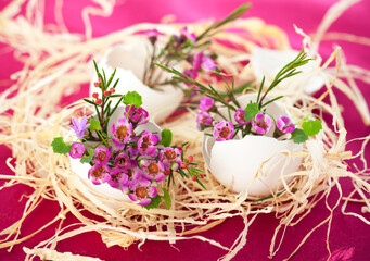 Easter decorations with Pink flowers in eggshells