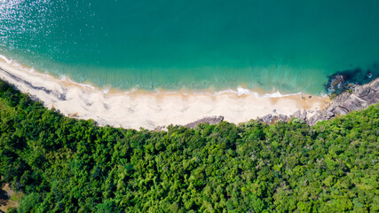 Beautiful deserted beach in Ubatuba, São Paulo, Brazil. Atlantic forest, yellow sand and clear sea water. Figueira beach paradise. © Pedro