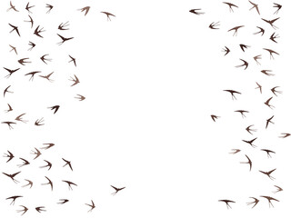 Flying swallow birds silhouettes vector illustration. Migratory martlets group isolated on white.