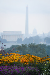 Washington D.C. skyline in a foggy day with major monuments in view - Washington D.C. United States...