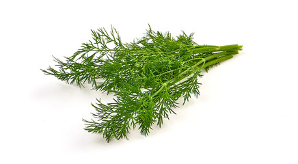 Fresh dill bunch, fresh condiments, isolated on white background.