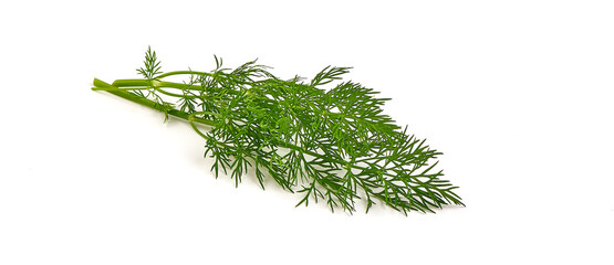 Bunch of dill, isolated on white background.