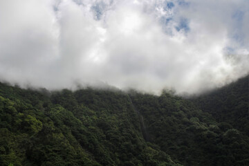 clouds in the mountains. White sky in green mountains in Funchal, Madeira