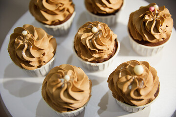 cupcakes with chocolate
