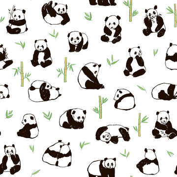 Panda animal vector seamless pattern