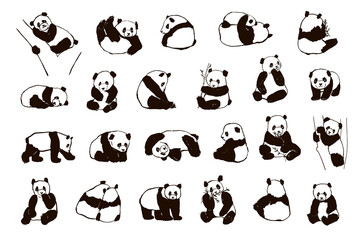 Panda asian animal vector illuatrations set © GooseFrol